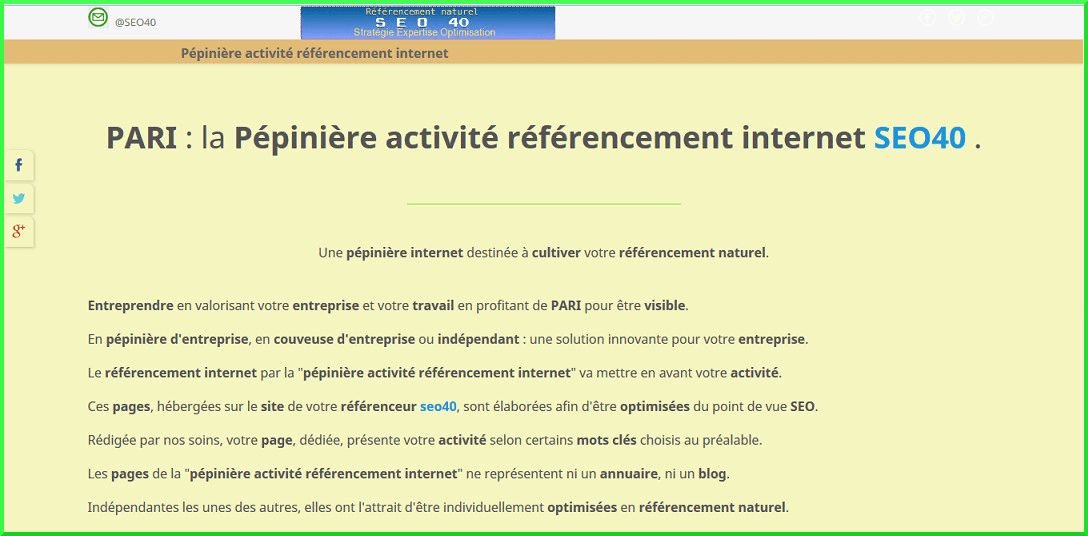 PARIS - PARI: Pépinière activité référencement internet par le référencement SEO.